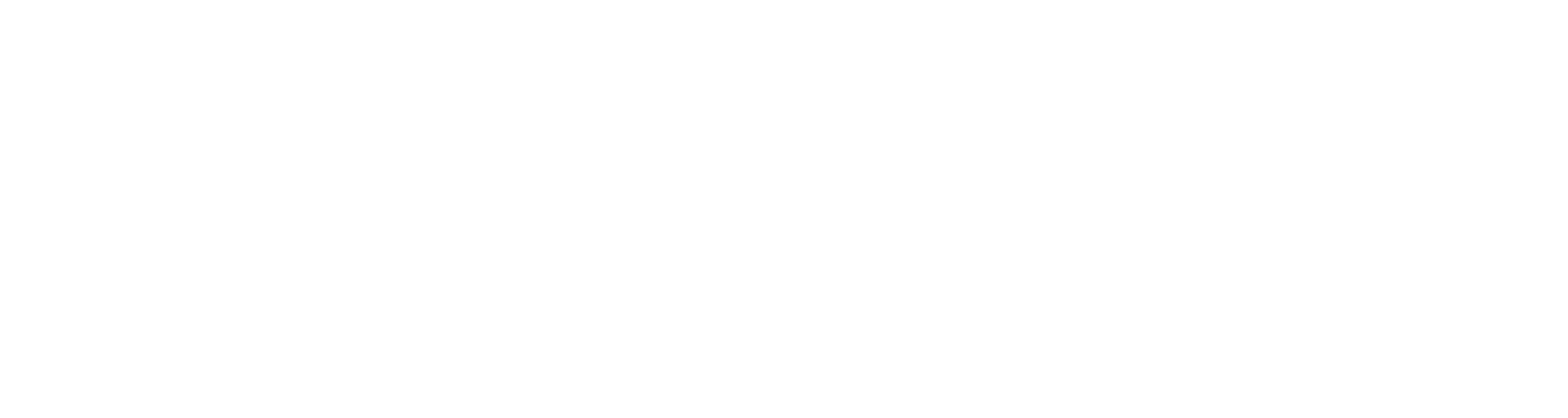 Flunger & Company